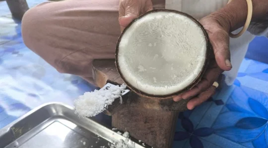 ココナッツオイル作り体験